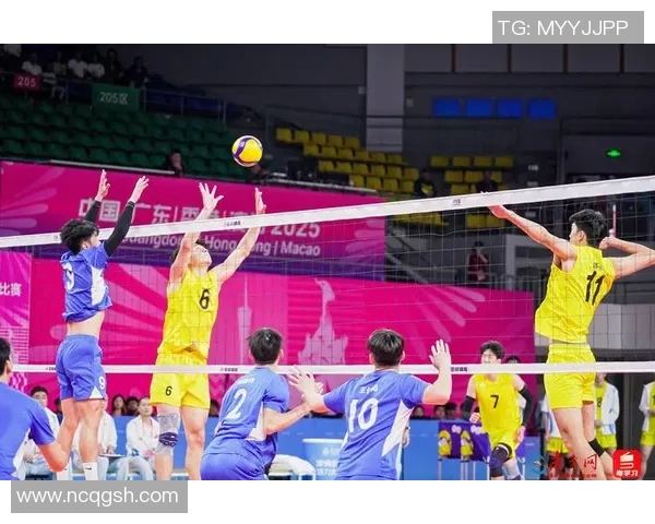 广州排球队在全国排球比赛经验排行榜中荣获第五名的荣耀时刻