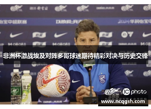 非洲杯激战埃及对阵多哥球迷期待精彩对决与历史交锋