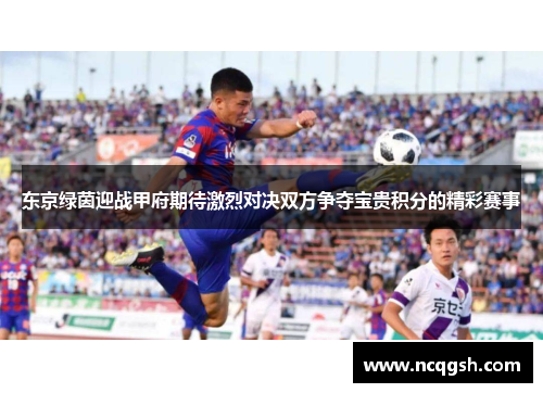 东京绿茵迎战甲府期待激烈对决双方争夺宝贵积分的精彩赛事